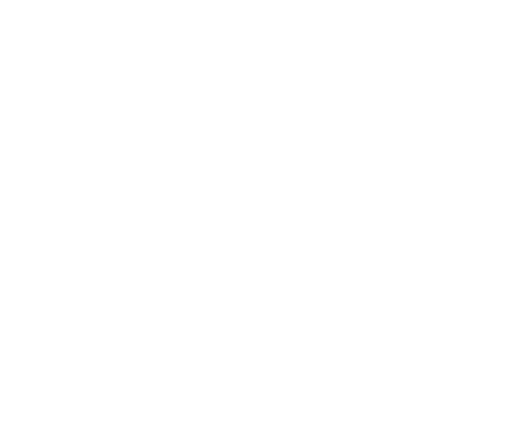 Cursos de Alto Rendimiento para Directivos